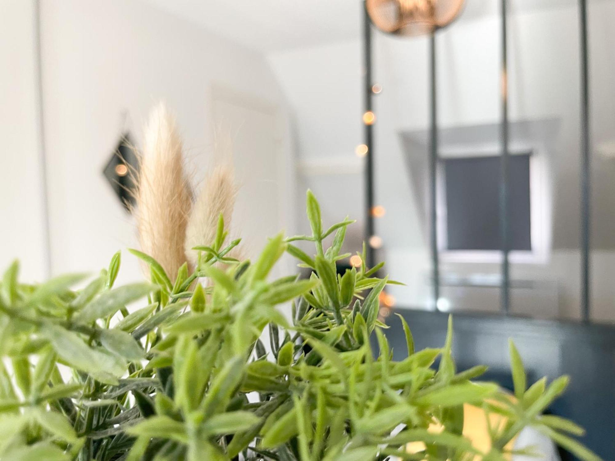Apartament Le 12 Bis - Cosy Cherbourg-en-Cotentin Zewnętrze zdjęcie